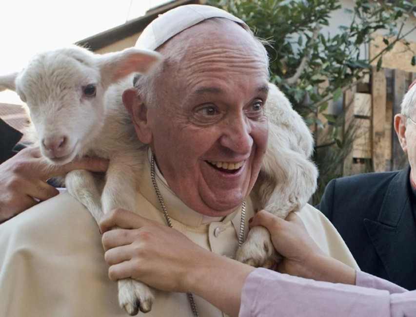 Papa Francisco y Fin del Mundo, papa francisco, fin del mundo, papa-francisco-y-una-oveja