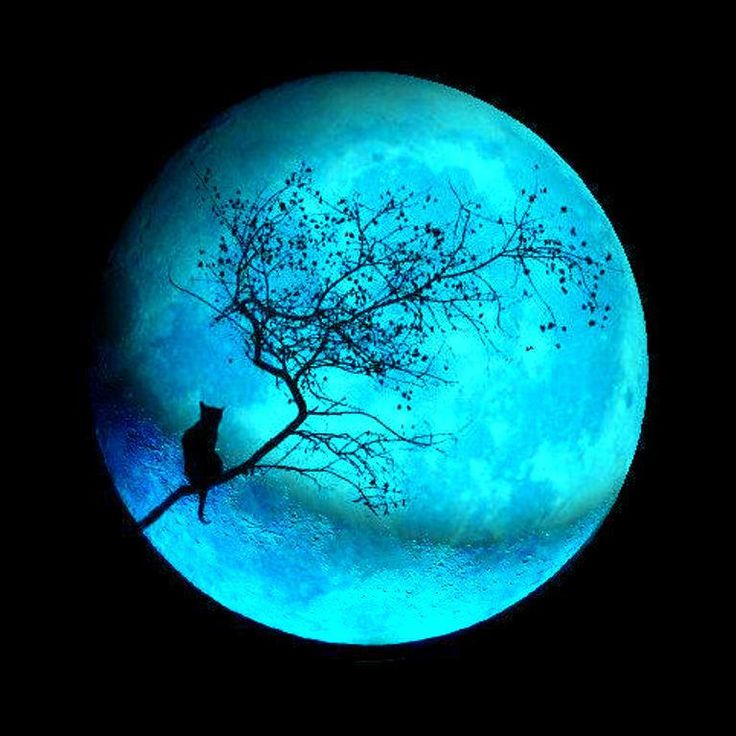 En este momento estás viendo Luna Azul | Ricardo Latouche Tarot