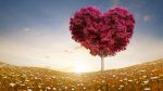 Lee más sobre el artículo Siete Diferentes Tipos de Amor | Rav Roziel Pilatowsky